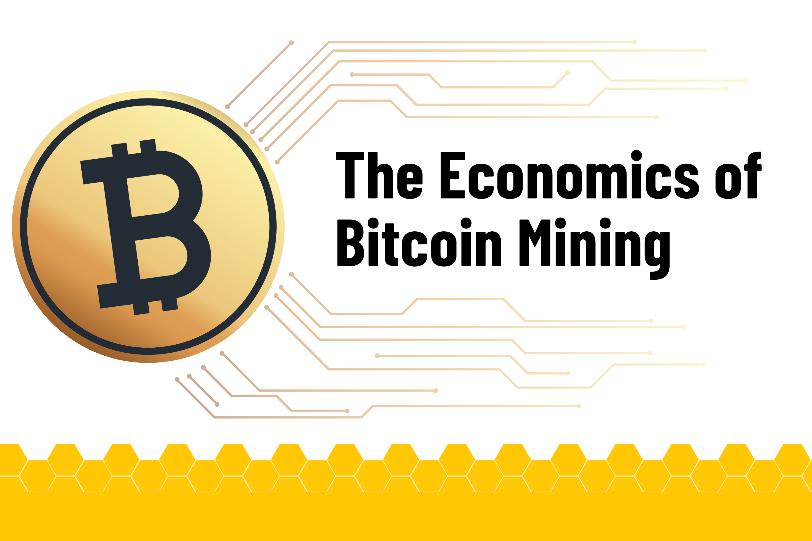 The Economics of Bitcoin Mining