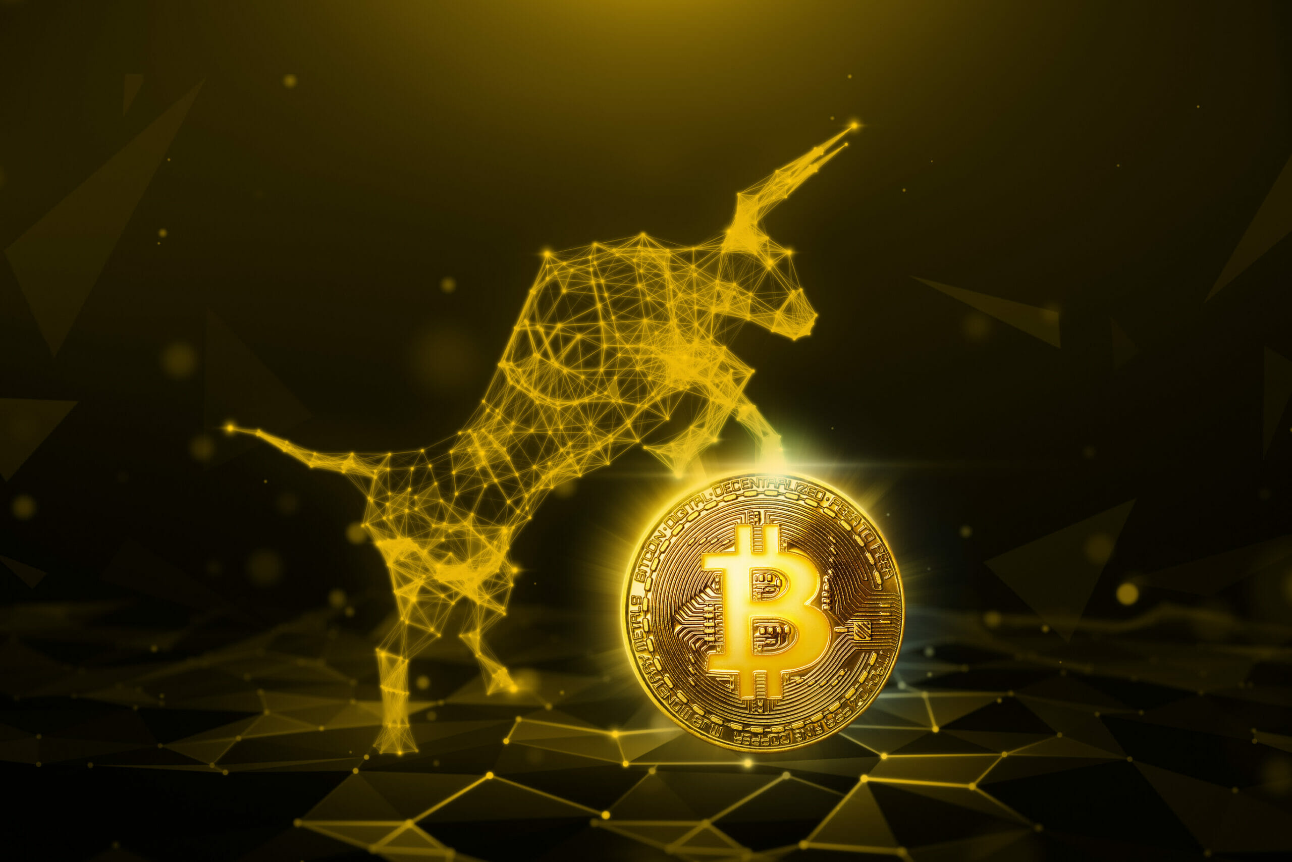 Why You Should be Bullish on Bitcoin